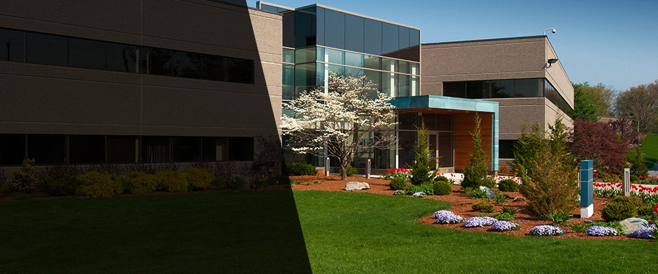 Morris Plains Landscapers