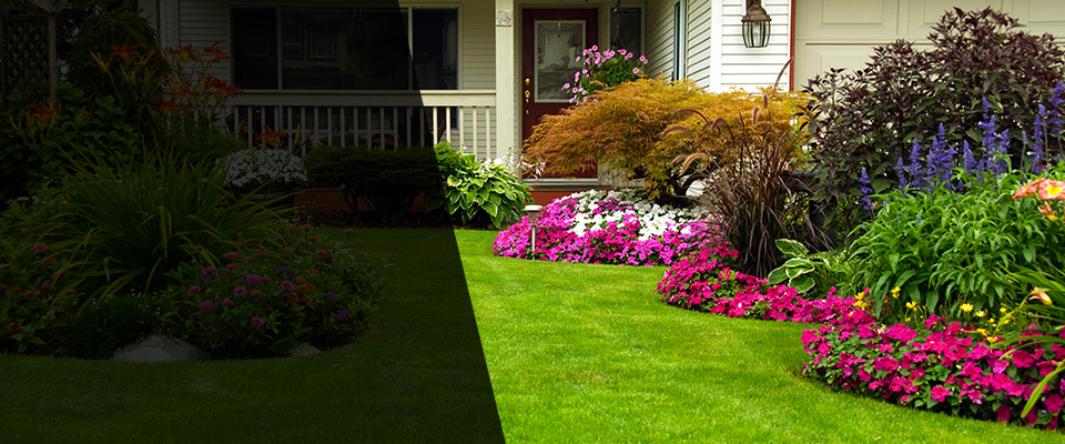 Morris Plains Landscapers