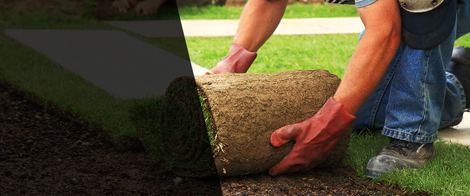 Morris Plains Landscapers